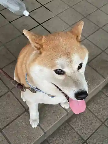 笠䅣稲荷神社(神奈川県)