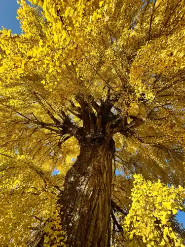 丹生酒殿神社(和歌山県)