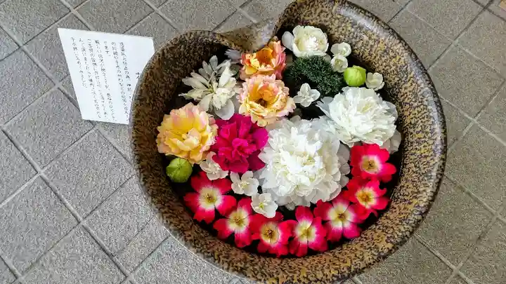 美瑛神社の手水舎