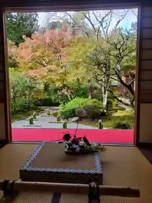 光明寺（粟生光明寺）(京都府)