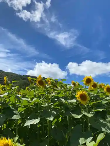 天神社(岡山県)