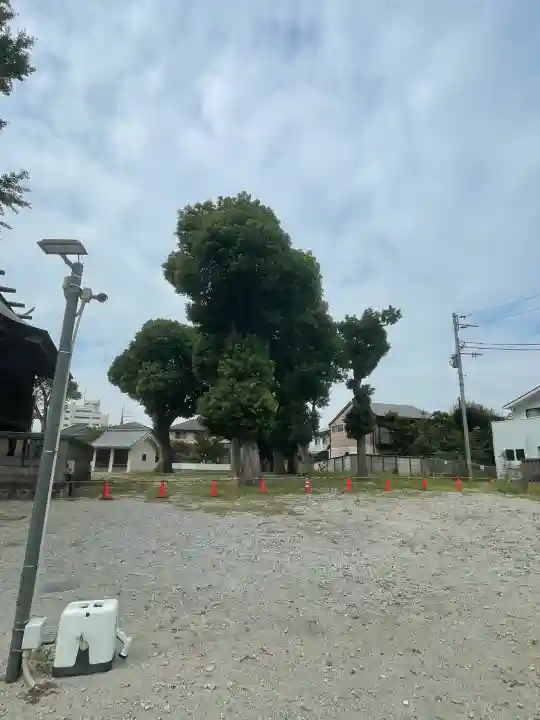 葛飾八幡宮(千葉県)