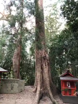 祝園神社の自然