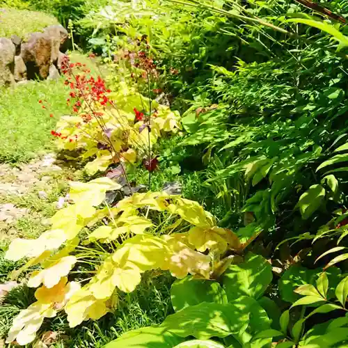 寿量山　速成寺の自然