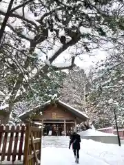 北海道神宮(北海道)