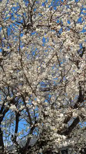 大松禅寺(京都府)