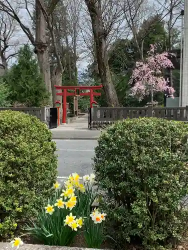 柞祖霊社の鳥居