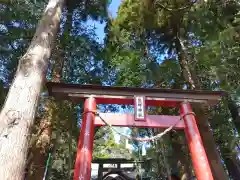 熊野神社(宮崎県)