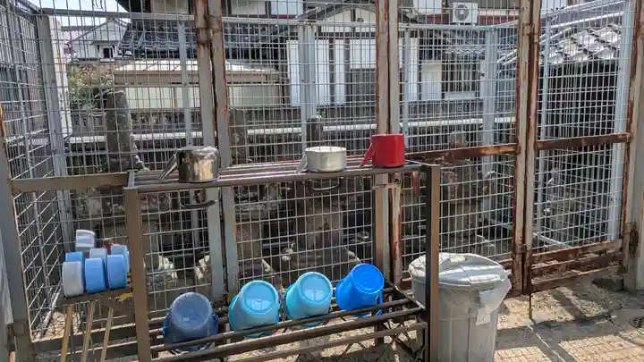 深廣寺(京都府)