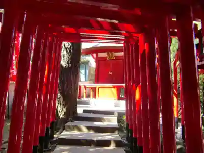 乃木神社の鳥居