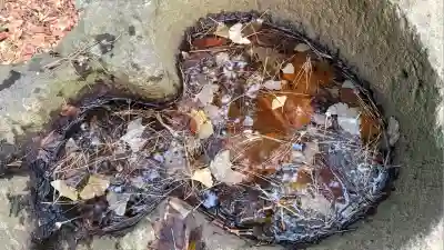 亀田八幡宮(北海道)