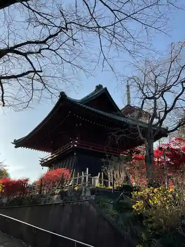 本土寺(千葉県)