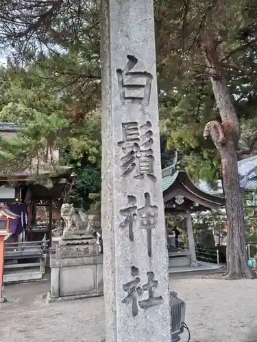 白鬚神社(滋賀県)