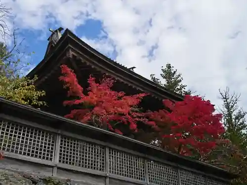 壇上伽藍の本殿・本堂