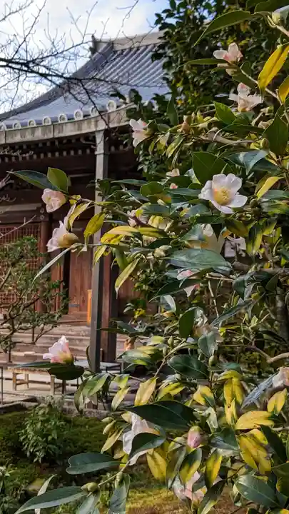 法金剛院(京都府)