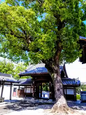 昌福寺の山門・神門