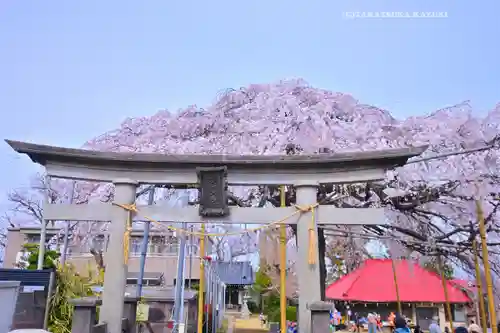 栗谷須賀神社(神奈川県)