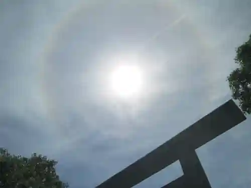 屋久島大社の自然