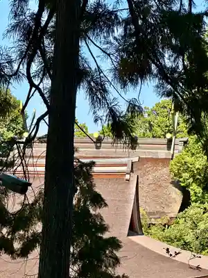 石上神宮(奈良県)