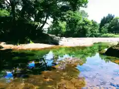 厳島神社の庭園