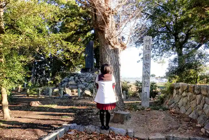 若宮八幡社の自然