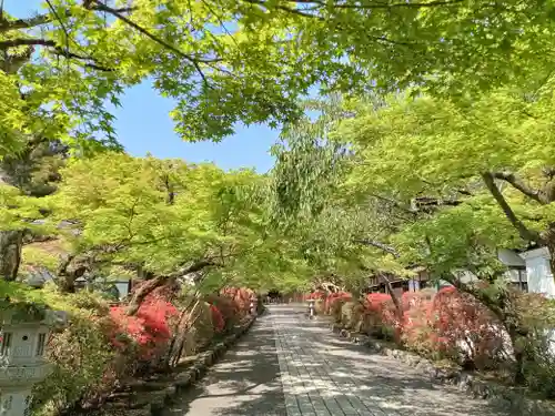 石山寺(滋賀県)