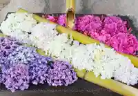 差出磯大嶽山神社 仕事と健康と厄よけの神さまの手水舎