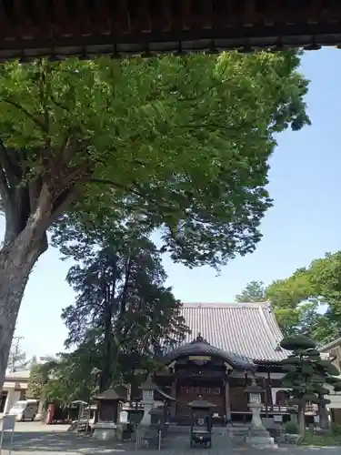 總持寺の本殿・本堂