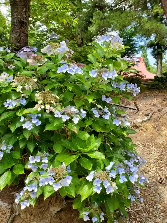 隠津島神社(福島県)
