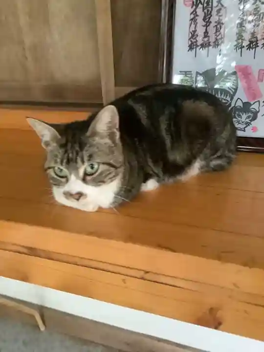 玉野御嶽神社の動物