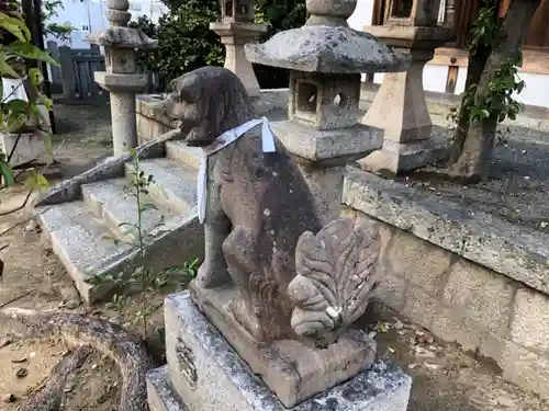 三島鴨神社の狛犬