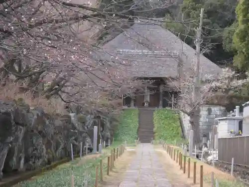 横浜　西方寺の本殿・本堂