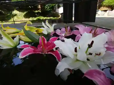 白老八幡神社の手水舎