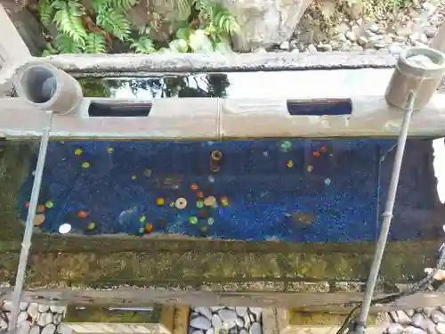 本蓮寺(神奈川県)