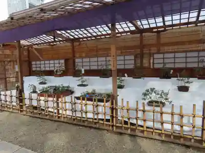 靖國神社の芸術