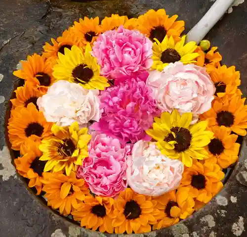 真言宗　善通寺派　薬王寺(香川県)