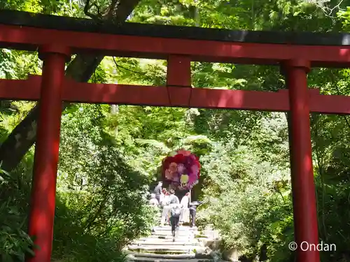 岡寺（龍蓋寺）(奈良県)