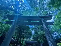 愛宕神社の鳥居