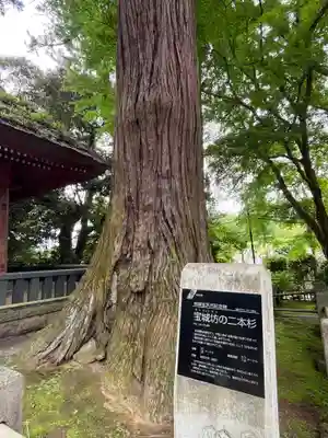 宝城坊(神奈川県)