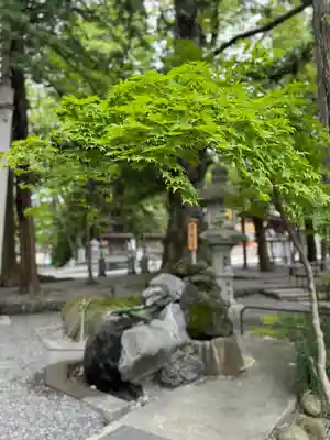 諏訪大社下社秋宮(長野県)