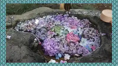 馬場氷川神社(埼玉県)