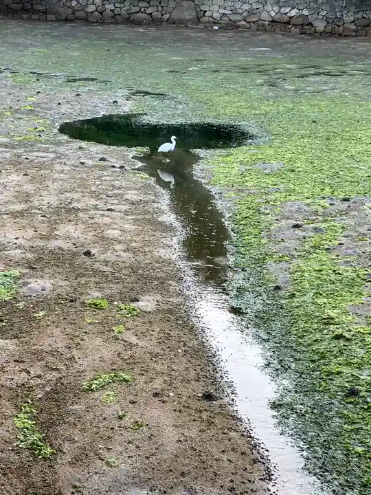 厳島神社(広島県)