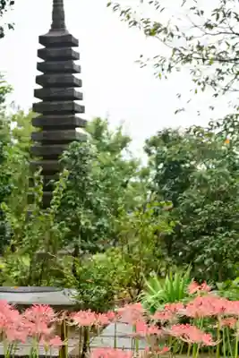 横浜 西方寺の塔