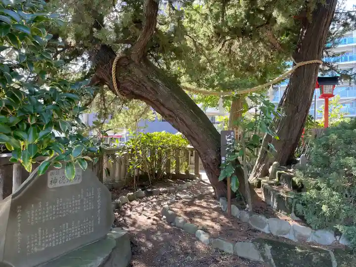 瀬戸神社(神奈川県)
