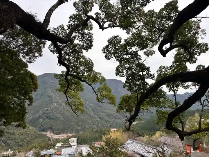 熊野那智大社の{uncategorized: "未分類", other: "その他", undefined: "問題あり", building: "その他建物", grave: "お墓", sacred_gate: "鳥居", guardian: "狛犬", statue: "像", buddha: "仏像", history: "歴史", nature: "自然", garden: "庭園", animal: "動物", pagoda: "塔", temizu: "手水舎", mountain_gate: "山門・神門", sanctuary: "本殿・本堂", subordinate: "末社・摂社", art: "芸術", scenery: "景色", jizo: "地蔵", ema: "絵馬", goshuin: "御朱印", omikuji: "おみくじ", items: "授与品その他", amulet: "お守り", goshuincho: "御朱印帳", eats: "食事", festival: "お祭り", votive_dance: "神楽", shichigosan: "七五三参", wedding: "結婚式", experience: "体験その他", initially: "初詣", around: "周辺", anti_infection: "感染症対策"}