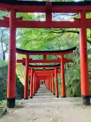 有子山稲荷神社の鳥居