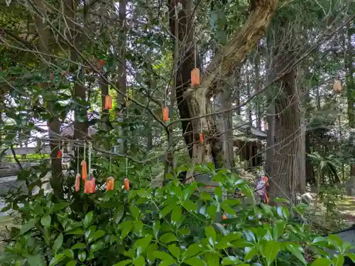 真禅院(岐阜県)