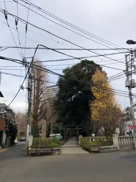 渋谷氷川神社の鳥居