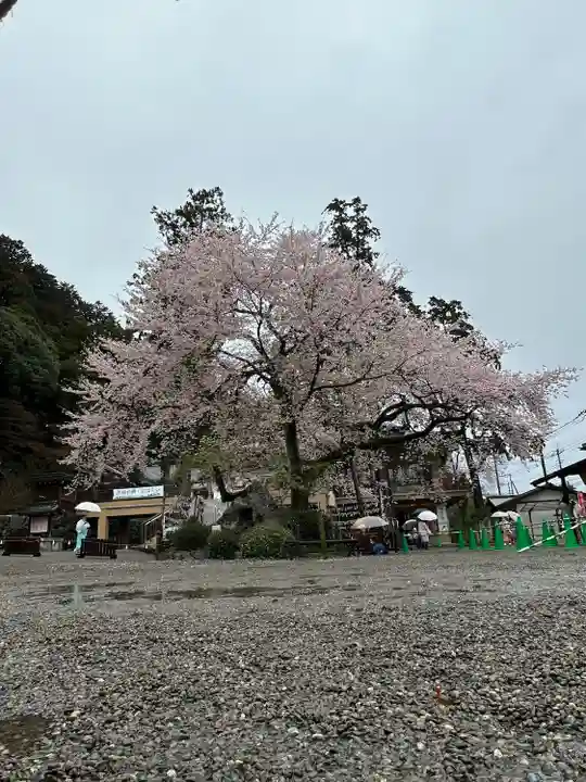 高麗神社の自然