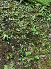 妙義神社(群馬県)